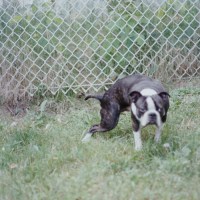 artworks-000184191112-8wt3f9-t500x500