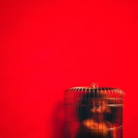 artworks-000145510756-0i5d40-t500x500