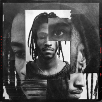 8d6ea867106fe36e207318359dd3d2ac-727x727x1