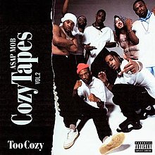 220px-Cozy_Tapes_Too_Cozy_Cover_art