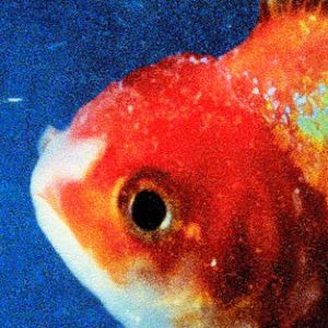Vince-Staples-Big-Fish-Theory